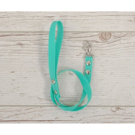 Hobihobuse ohelik päitsetele, mint