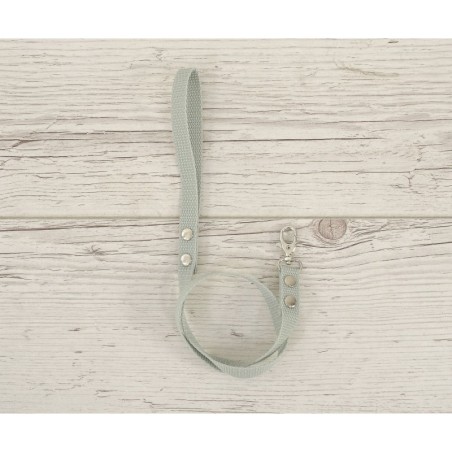 Hobihobuse ohelik päitsetele, salvei