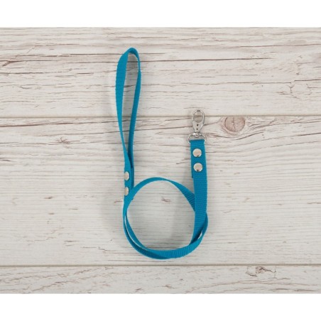 Hobihobuse ohelik päitsetele, türkiis