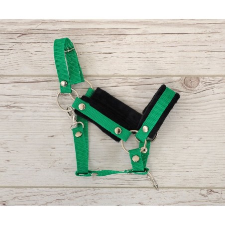 A3 hobihobuse päitsed reguleeritavad pehmendusega, roheline / must