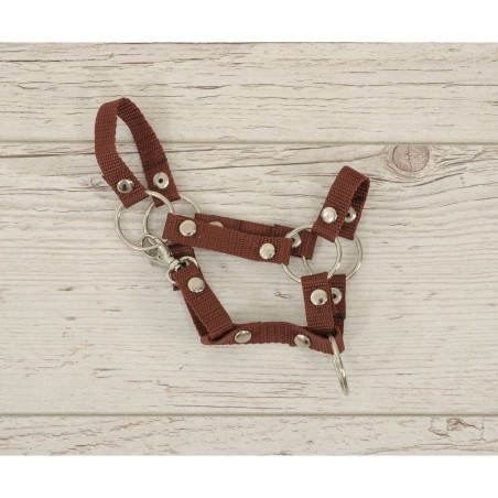 A4 hobihobuse päitsed, pruun