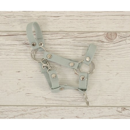 A4 hobihobuse päitsed, salvei