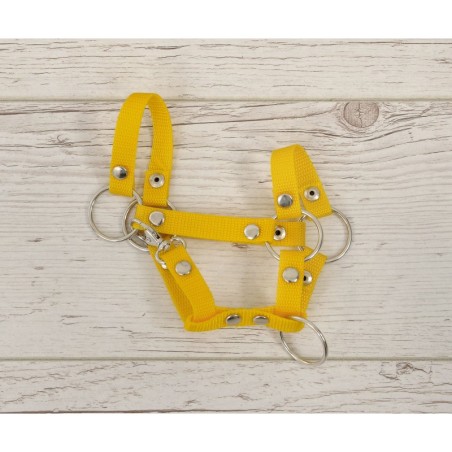 A4 hobihobuse päitsed, kollane