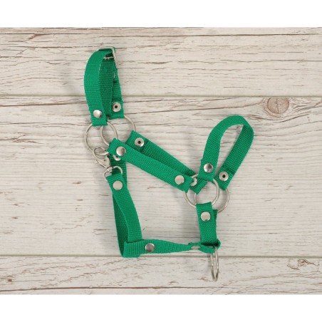 A3 hobihobuse päitsed reguleeritavad, roheline