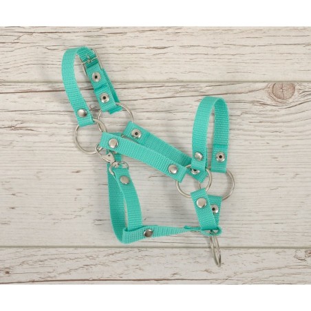 A3 hobihobuse päitsed reguleeritavad, mint