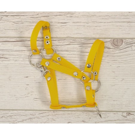 A3 hobihobuse päitsed reguleeritavad, kollane