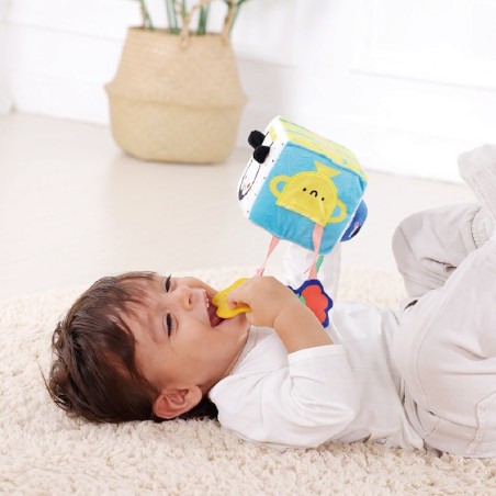 XXL Montessori arendav 5in1 mängukast 11-12 kuud