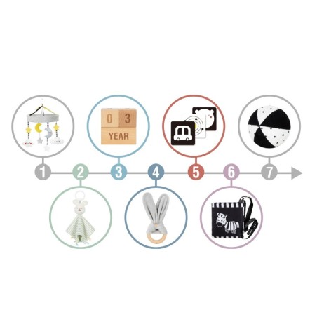XXL Montessori arendav 7in1 mängukast 0-2 kuud