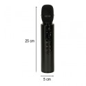 Bluetooth karaoke mikrofon, must