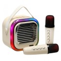 Kaasaskantav USB bluetooth karaoke kõlar mikrofonidega LED, kreem