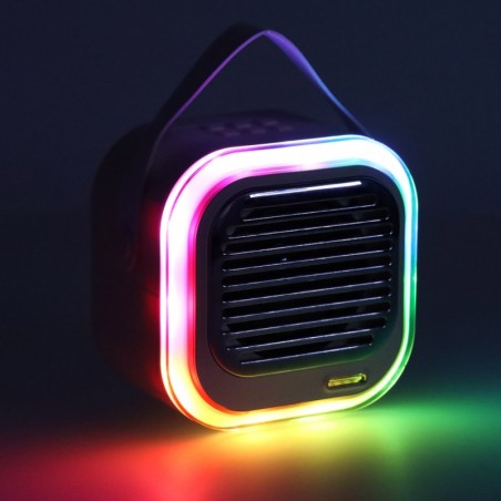 Kaasaskantav USB bluetooth karaoke kõlar mikrofonidega LED, kreem