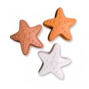 Rannamänguasjade komplekt Sea Star