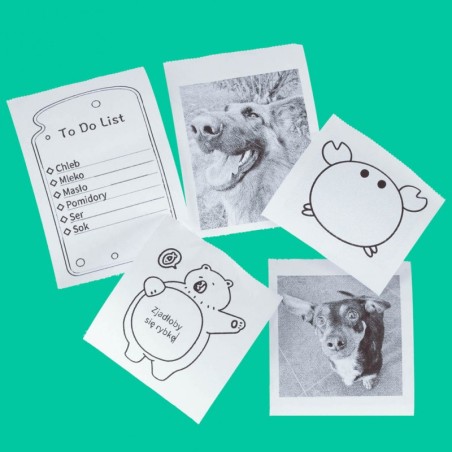 Mini kaasaskantava printeri paberirullid 4.5M, 5 tk