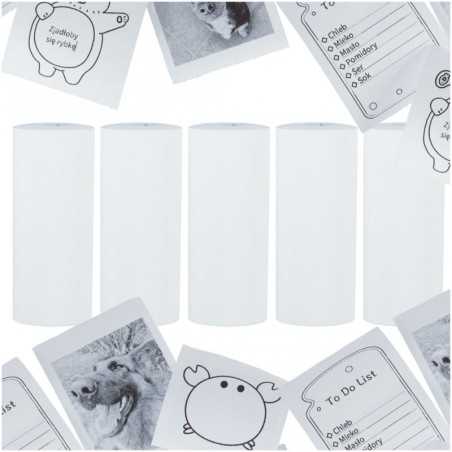 Mini kaasaskantava printeri paberirullid 4.5M, 5 tk