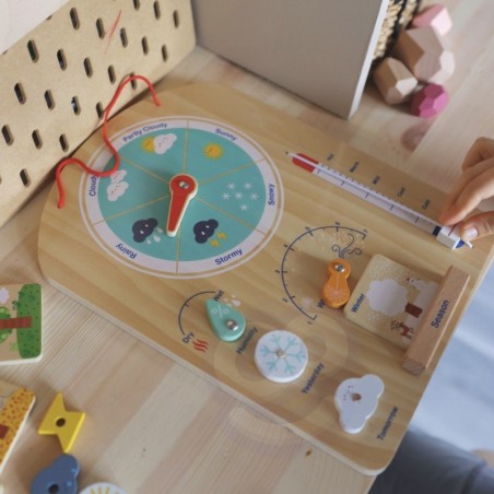 Hariv montessori õppekast 6in1 vanusele +36 kuud