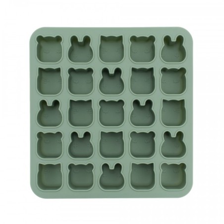 Kaanega toiduvorm külmutamiseks ja küpsetamiseks, sage