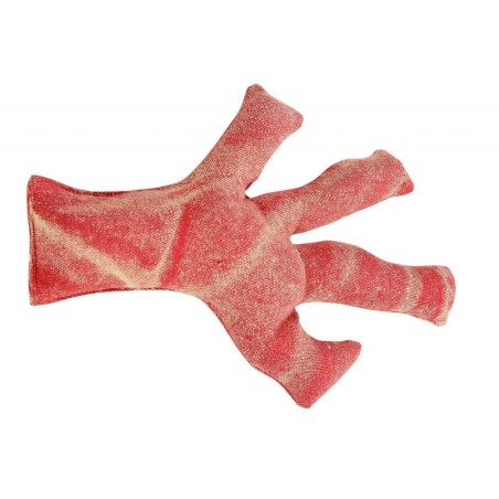 Pestav dekoratiivpadi korall