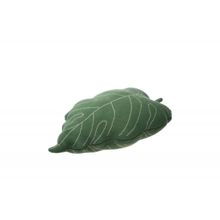 Kootud padi Baby Leaf