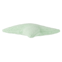 Padi Estrella Soft Mint