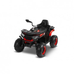 ELEKTRILINE ATV GIGANT PUNANE