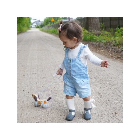 Viga PolarB puidust järelveetav koer