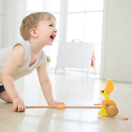 Puidust Duck Pusher Classic World EKO