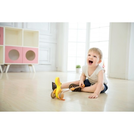 Puidust Duck Pusher Classic World EKO