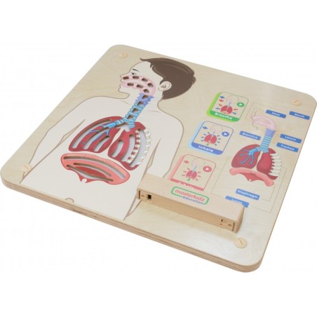 MASTERKIDZ õppemäng Montessori hingamissüsteem