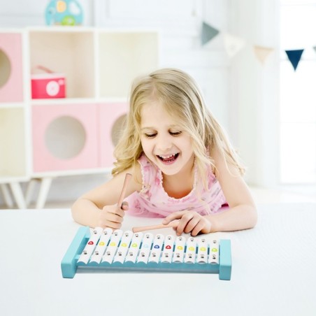 Puidust ksülofon 12 tooni + 2 pulka