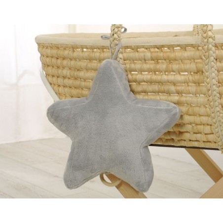 Muusikat mängib pehme täheke, hall