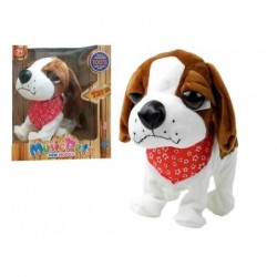 Interaktiivne jalutusrihmaga koer haugub...