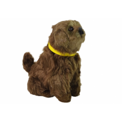 Interaktiivne Plush Dog Pehme karusnahk...