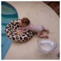 Beebi ujumisrõngas Leopard Beige, 0-1 a