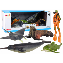 Mereloomade figuurikomplekt Arktika morss Narval