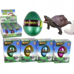 Haudumine Magic Turtle Muna Kasvav 6 cm.