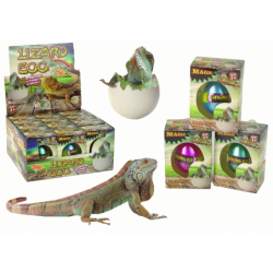 Haudumine Magic Lizard Muna Kasvav 6 cm.