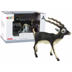 Blackbucki antiloopide koguja maailma kujukesed...