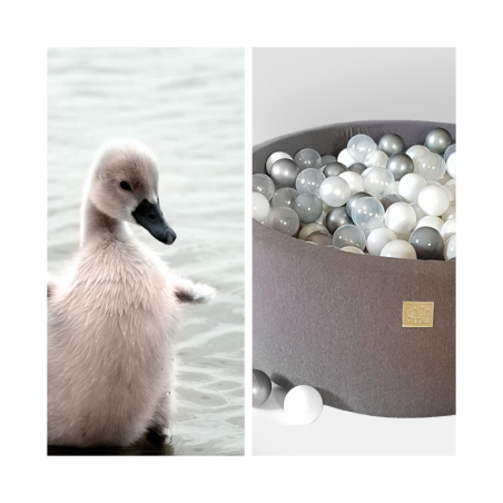 Pallimeri Little Swan H40 + 250 palli