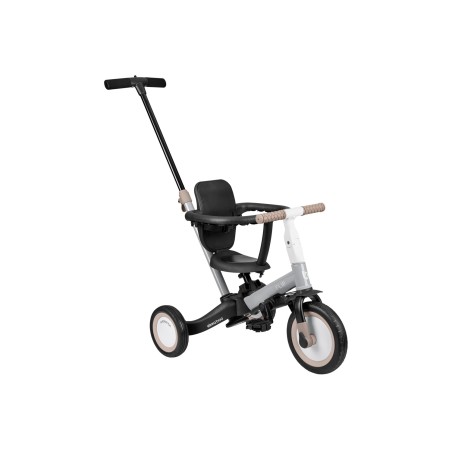 Laste kolmerattaline jalgratas 5in1 Flip, hall