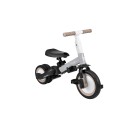 Laste kolmerattaline jalgratas 5in1 Flip, hall