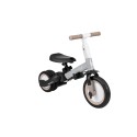 Laste kolmerattaline jalgratas 5in1 Flip, hall