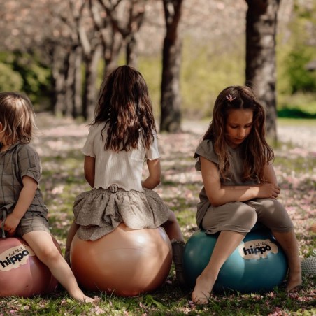 Hüppepall – sinine