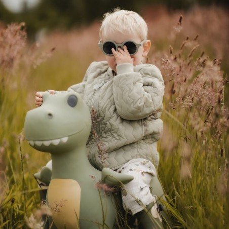 Hüppeloom dinosaurus