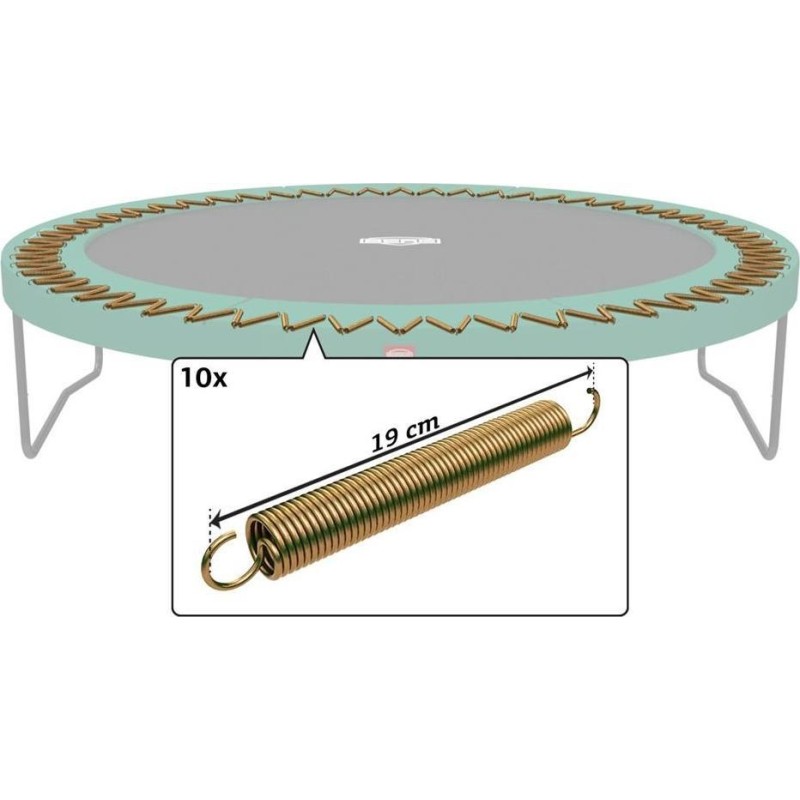 Batuudi vedrud Springs Berg Twinspring Gold, 10 tk