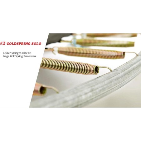 Batuut BERG Favorit InGround 330 Green, maasisesed, turvavõrguga Comfort