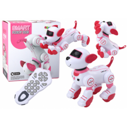 Kaugjuhtimisega interaktiivne robot-koer...