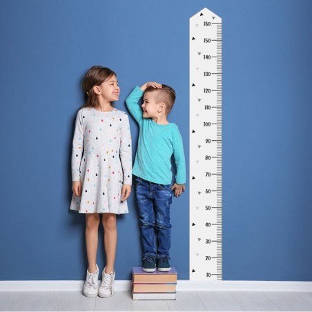 Seinakleebis mõõdupuu basic, valge