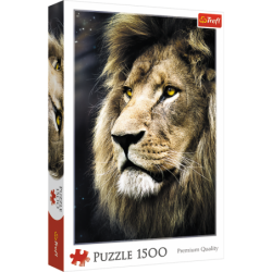 Pusle – 1500 – Lõvi portree / 500 px 26139