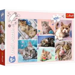 Pusle – 100 – Kassimaailmas – Trefl 16420