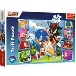 Pusle – "100" – tutvuge Sonic Trefl 16465-ga